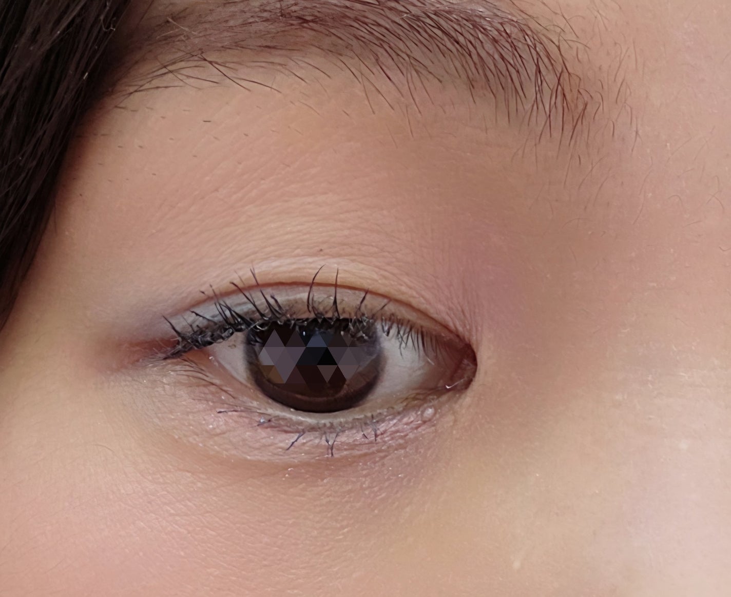 エクスプローラ12色 動物アイシャドウパレット/PERFECT DIARY/アイシャドウパレットを使ったクチコミ(2枚目)