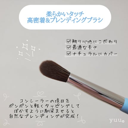 コンシールブレンダーパレット/LUNA/パレットコンシーラーを使ったクチコミ(6枚目)