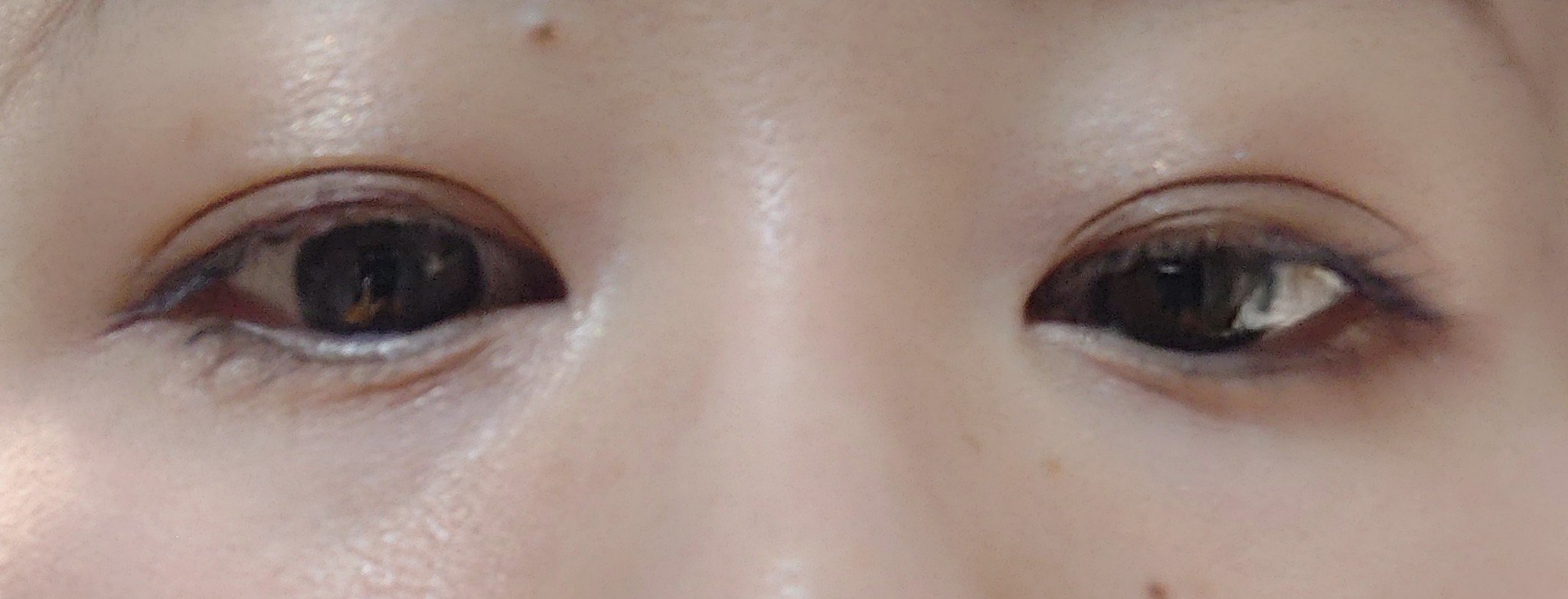 エターナル ブルーム コレクション/DECORTÉ/メイクアップキットを使ったクチコミ（3枚目）