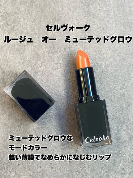 セルヴォーク ルージュ オー ミューテッドグロウ/Celvoke/口紅を使ったクチコミ(1枚目)