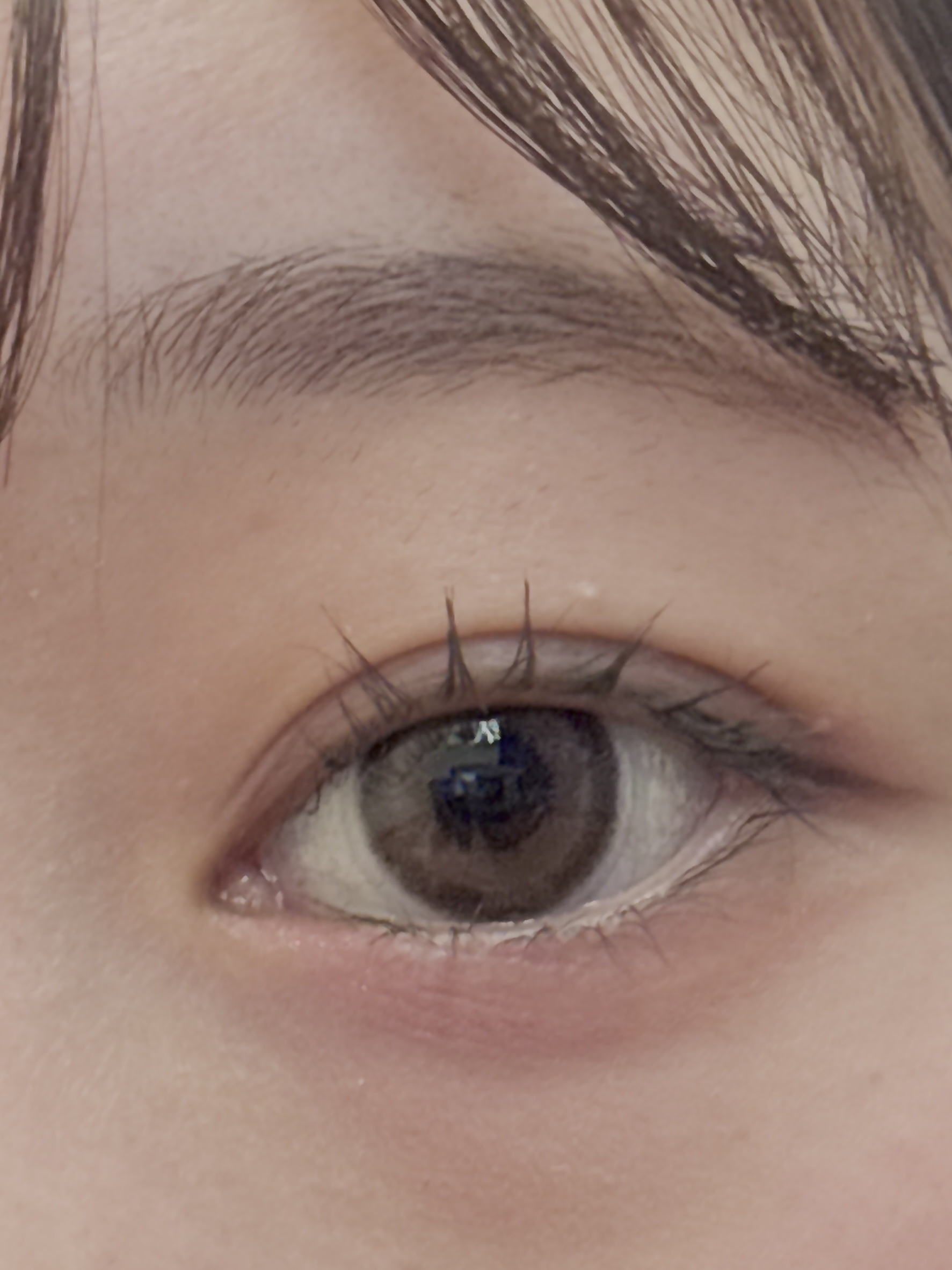 マランマラン ワンデー ホイップグレージュ/malun malun/ワンデー（１DAY）カラコンを使ったクチコミ（1枚目）