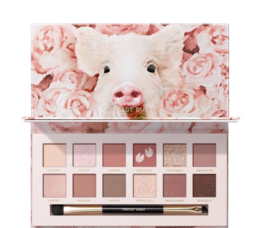 エクスプローラ12色 動物アイシャドウパレット/PERFECT DIARY/アイシャドウパレットを使ったクチコミ(1枚目)