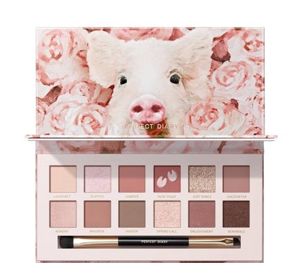 エクスプローラ12色 動物アイシャドウパレット/PERFECT DIARY/アイシャドウパレットを使ったクチコミ(1枚目)