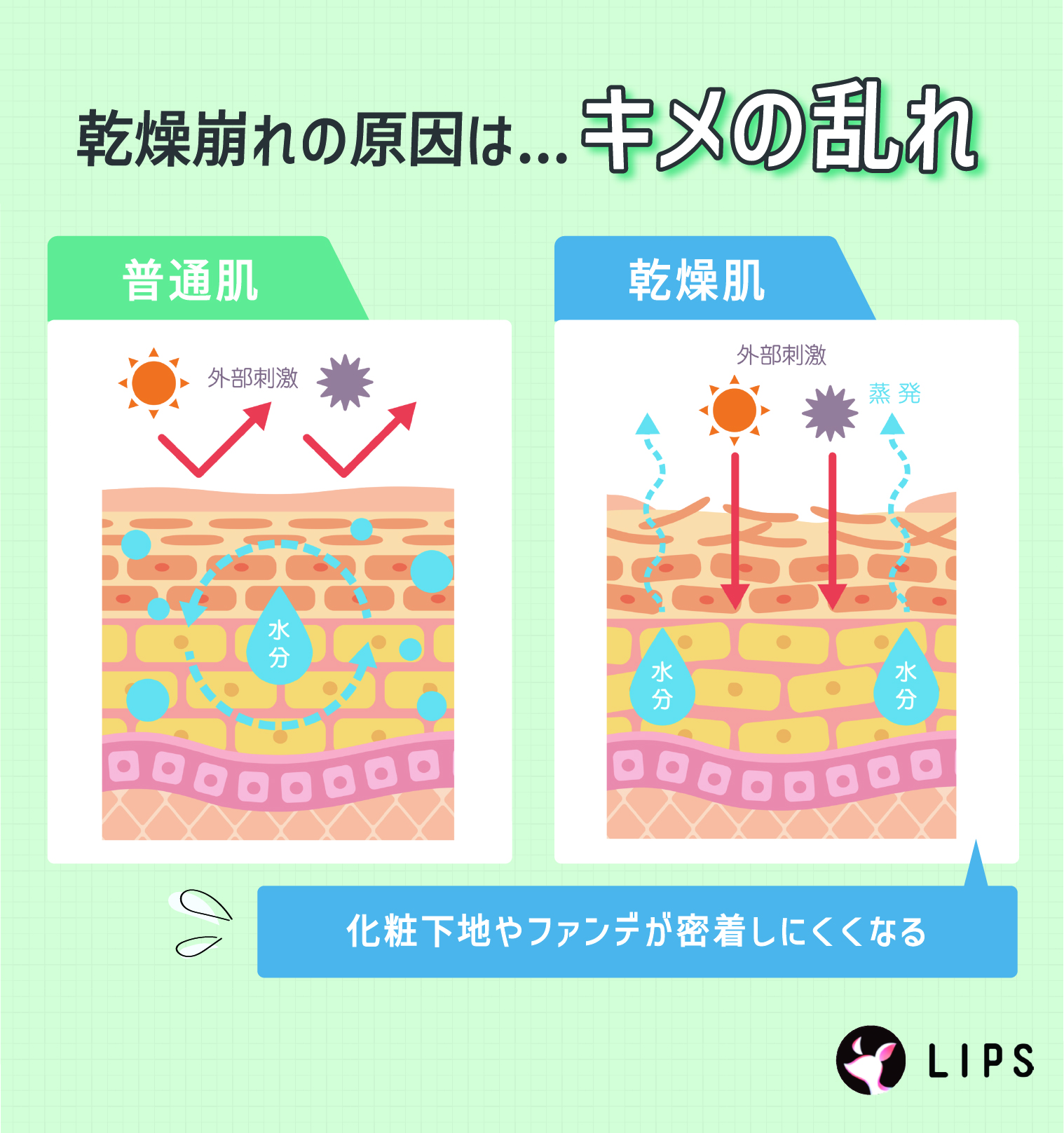 乾燥崩れの原因は、キメの乱れ。
