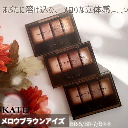ケイト メロウブラウンアイズ/KATE/アイシャドウパレットを使ったクチコミ(1枚目)