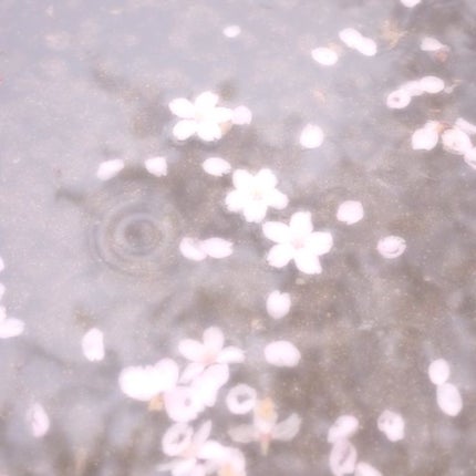 オーバーロードリップグレイズ 334/Dinto/口紅の画像