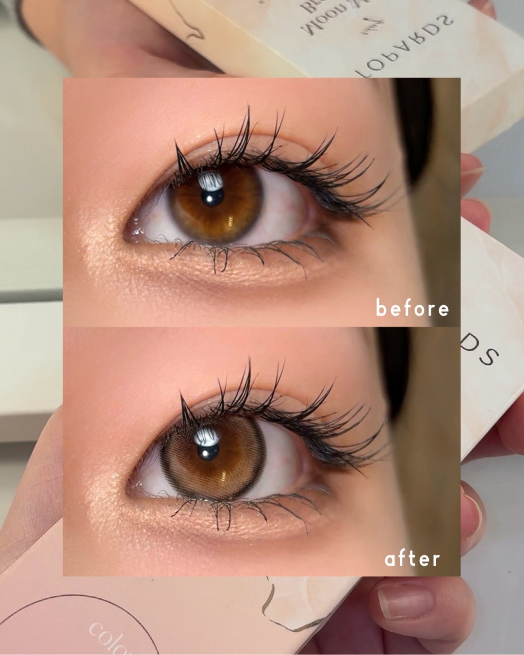 TOPARDS 1day/TOPARDS/ワンデー(1DAY)カラコンを使ったクチコミ(2枚目)