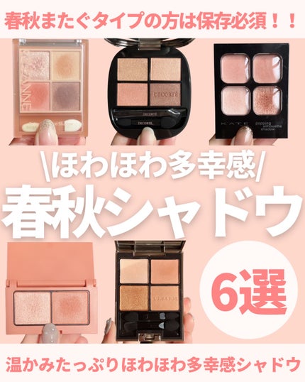 スキンシャドウ デザイニング パレット/DECORTÉ/アイシャドウパレットを使ったクチコミ(1枚目)