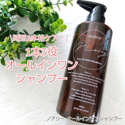 オールインワンシャンプー/noiry/市販シャンプーを使ったクチコミ(1枚目)