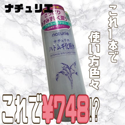 ハトムギ化粧水(ナチュリエ スキンコンディショナー R ) 通常サイズ 500ml/ナチュリエ/化粧水の画像