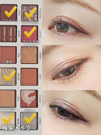 エクスプローラ12色 動物アイシャドウパレット/PERFECT DIARY/アイシャドウパレットを使ったクチコミ(5枚目)