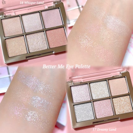 ベターミーアイパレット/2aN/マルチパレットを使ったクチコミ(2枚目)