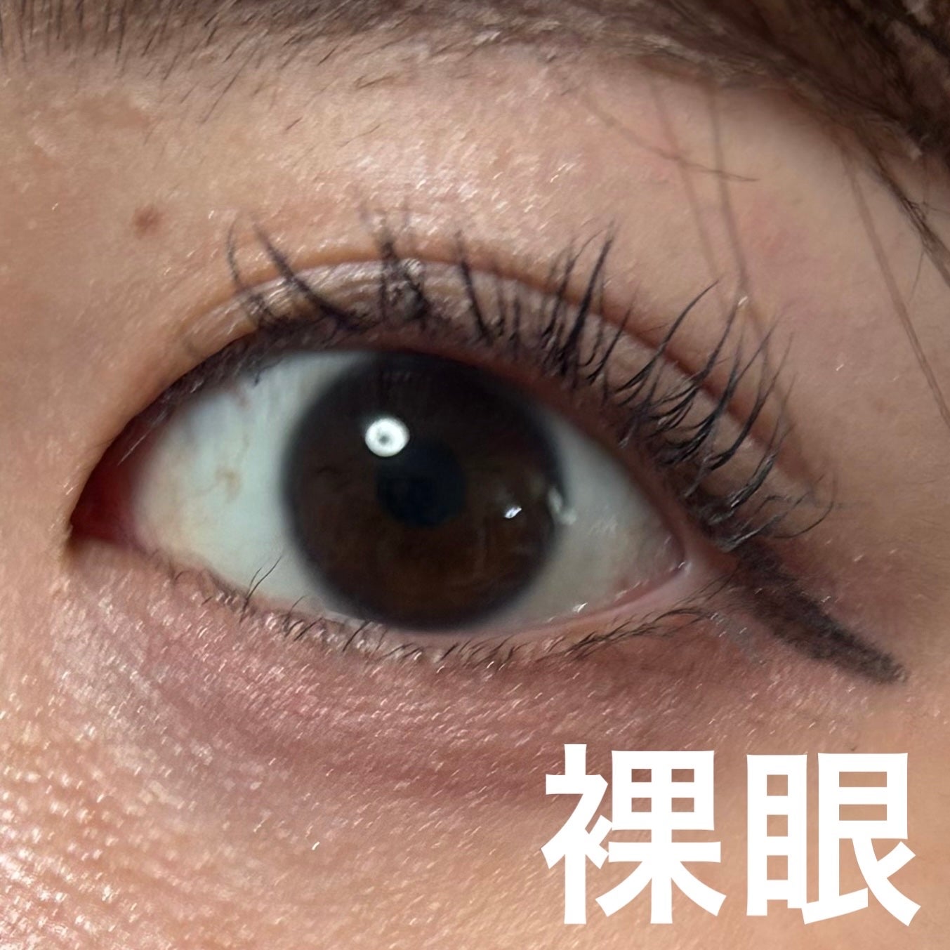 ラルム シリコーンハイドロゲル ダブルモイストUV ワンデー/LARME/カラーコンタクトレンズを使ったクチコミ(4枚目)