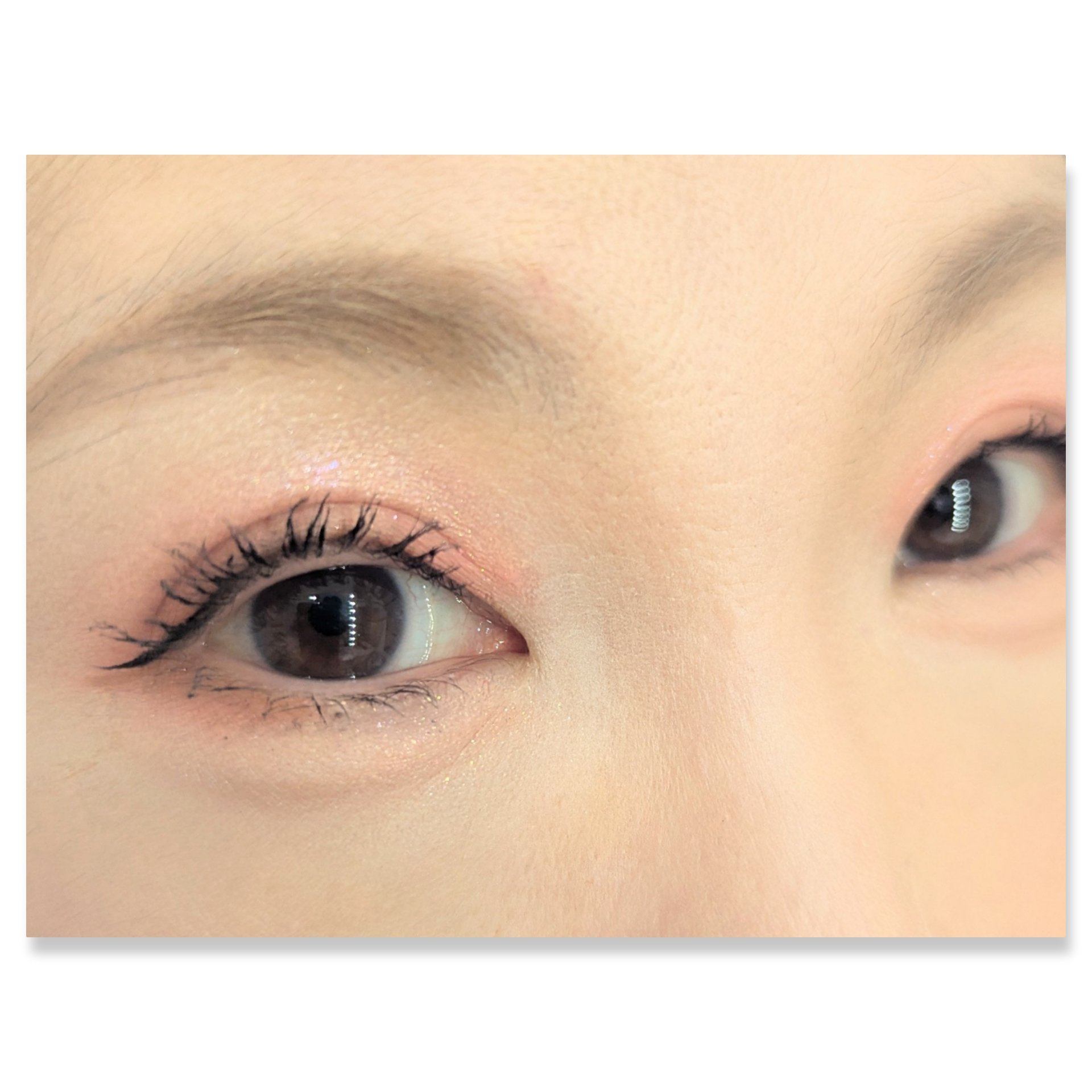 ジルリーン チョコレートアイシャドウ/jill leen./アイシャドウパレットを使ったクチコミ（2枚目）