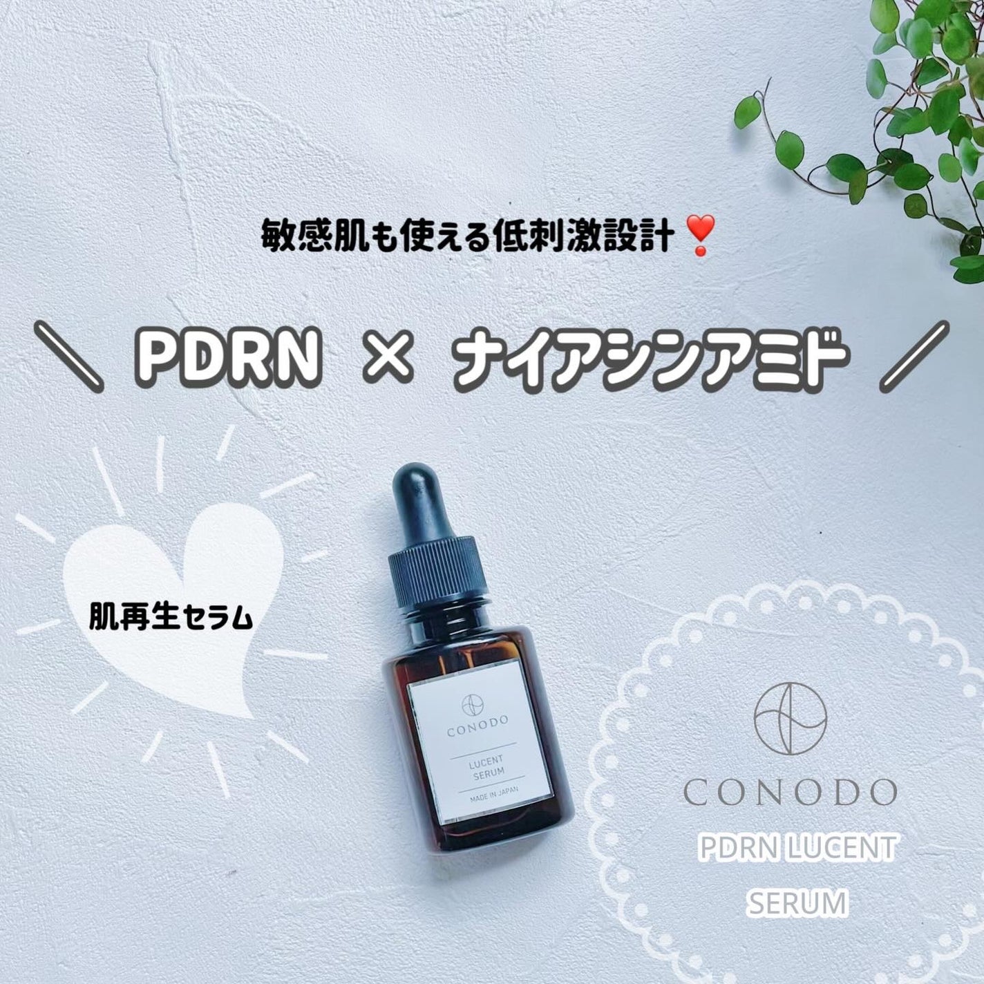 きなこ@フォロバします on LIPS 「こんばんは🩵12月に入ってからいきなり寒いー!乾燥と寒さなど外..」(1枚目)