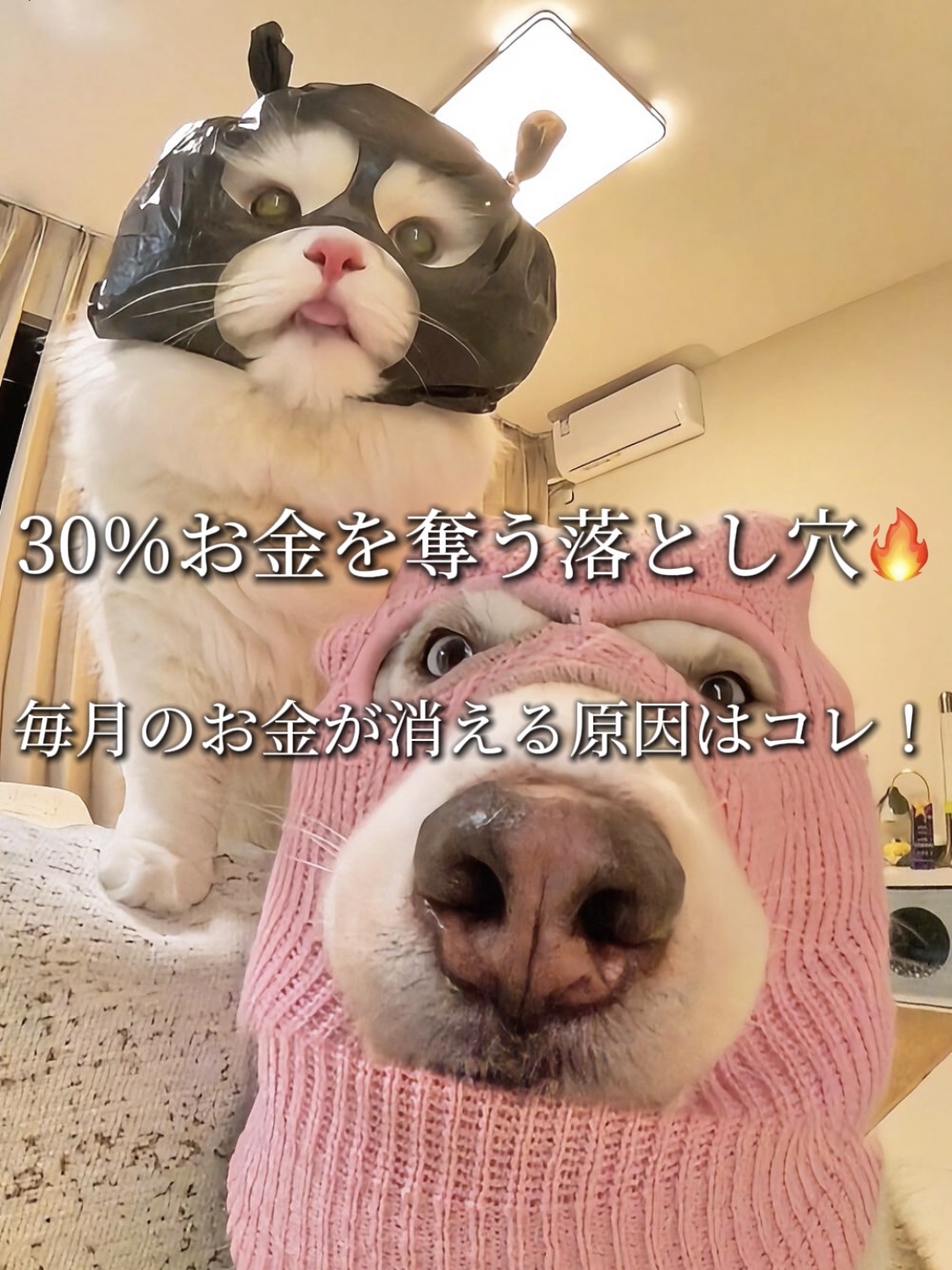 アネトス バランシング トリートメントクリーム/Anetos/フェイスクリームを使ったクチコミ（1枚目）