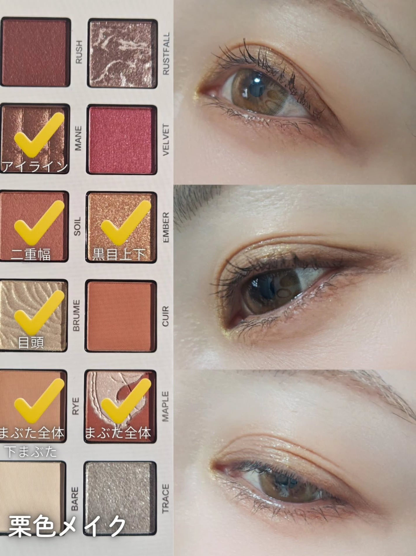 エクスプローラ12色 動物アイシャドウパレット/PERFECT DIARY/アイシャドウパレットを使ったクチコミ(3枚目)