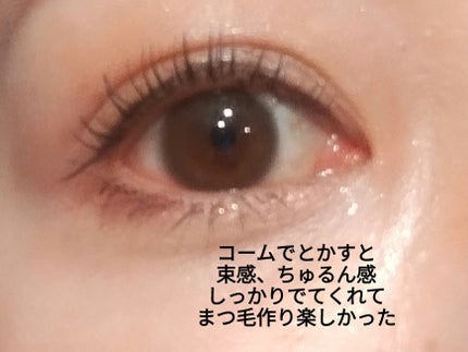 グロウコートマスカラ/CEZANNE/マスカラを使ったクチコミ(4枚目)