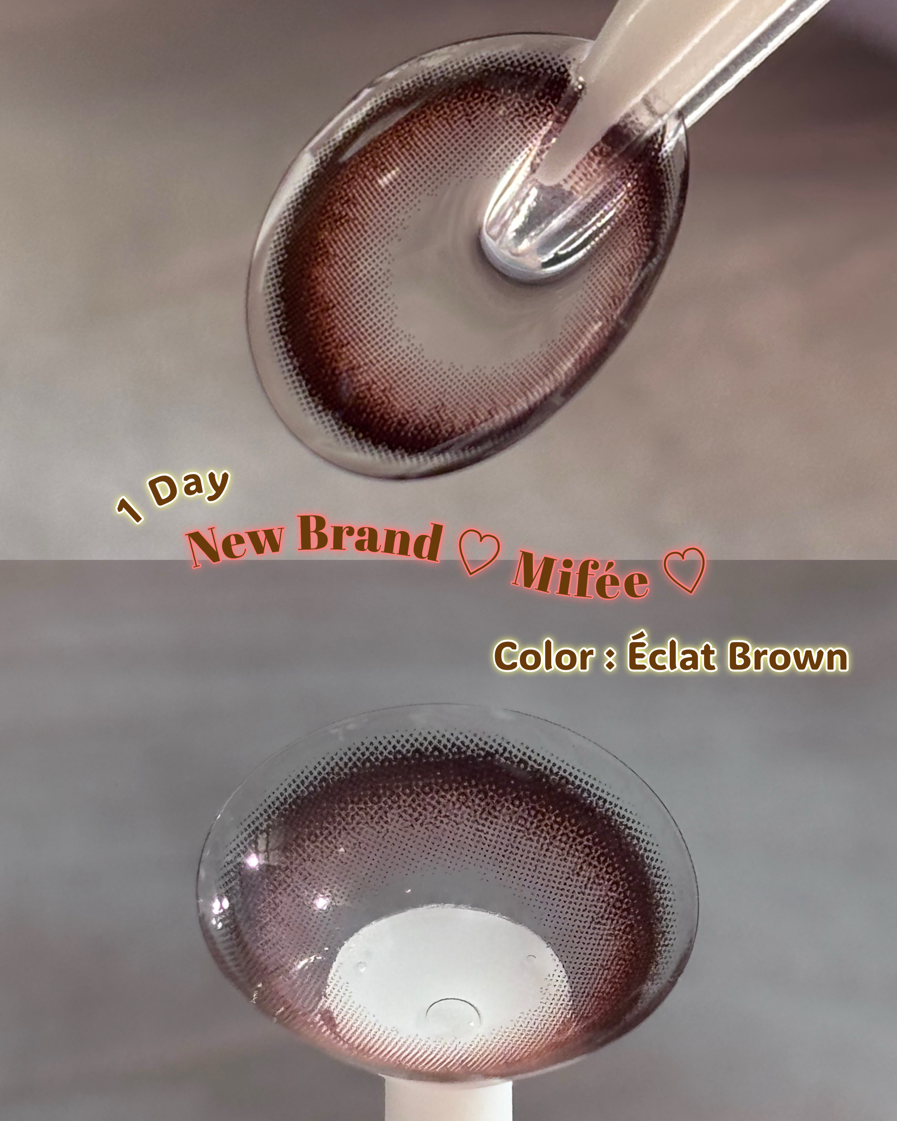 Mifée 1day/Mifée/ワンデー（１DAY）カラコンを使ったクチコミ（2枚目）