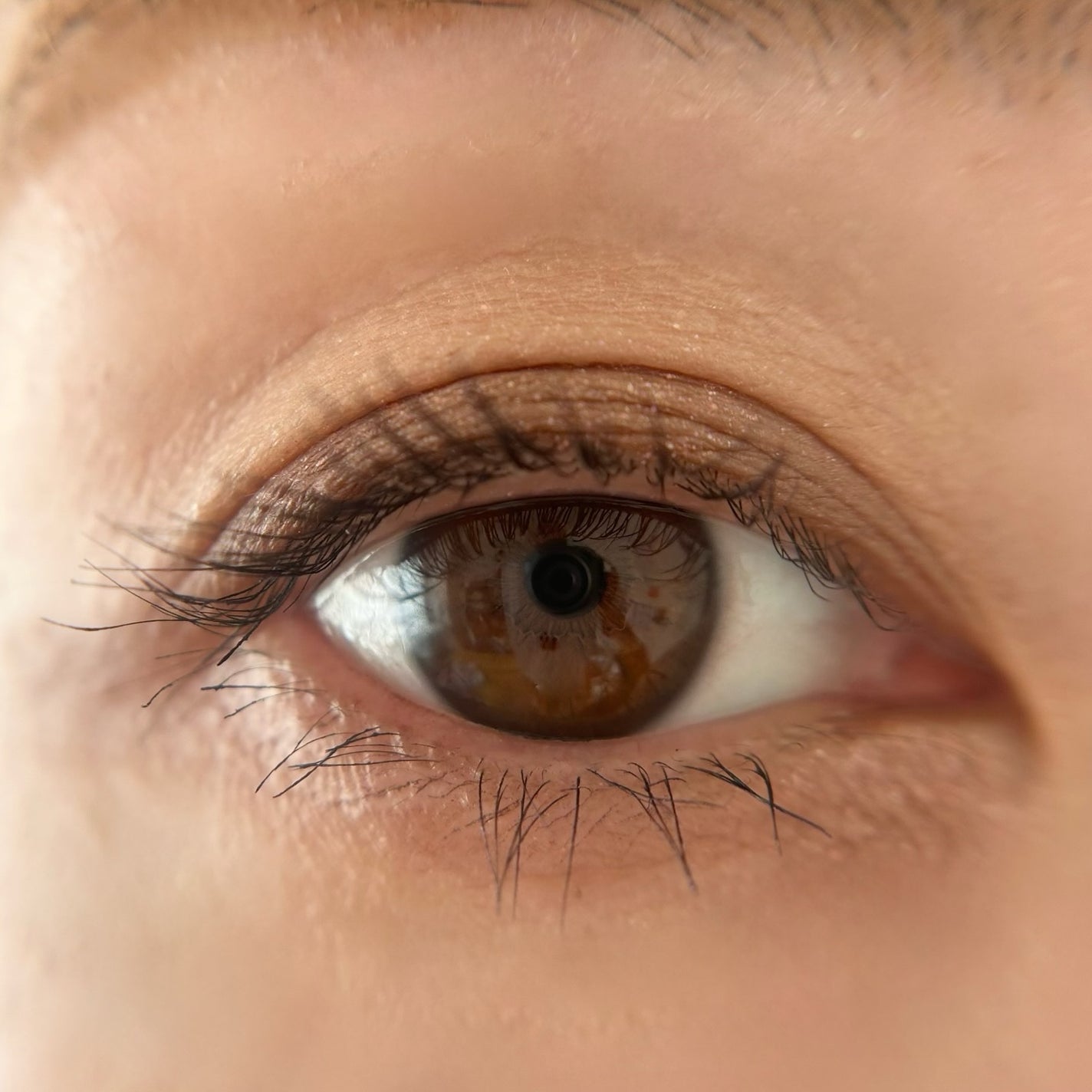 シグニチャー カラー アイズ/SUQQU/アイシャドウパレットを使ったクチコミ(5枚目)