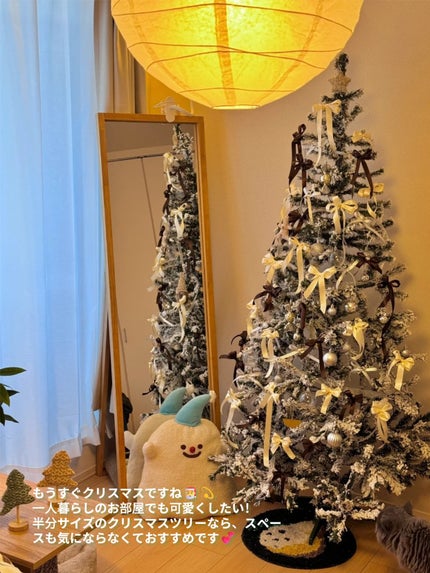 アネトス アクネケア トリートメント セラム/Anetos/美容液を使ったクチコミ(2枚目)