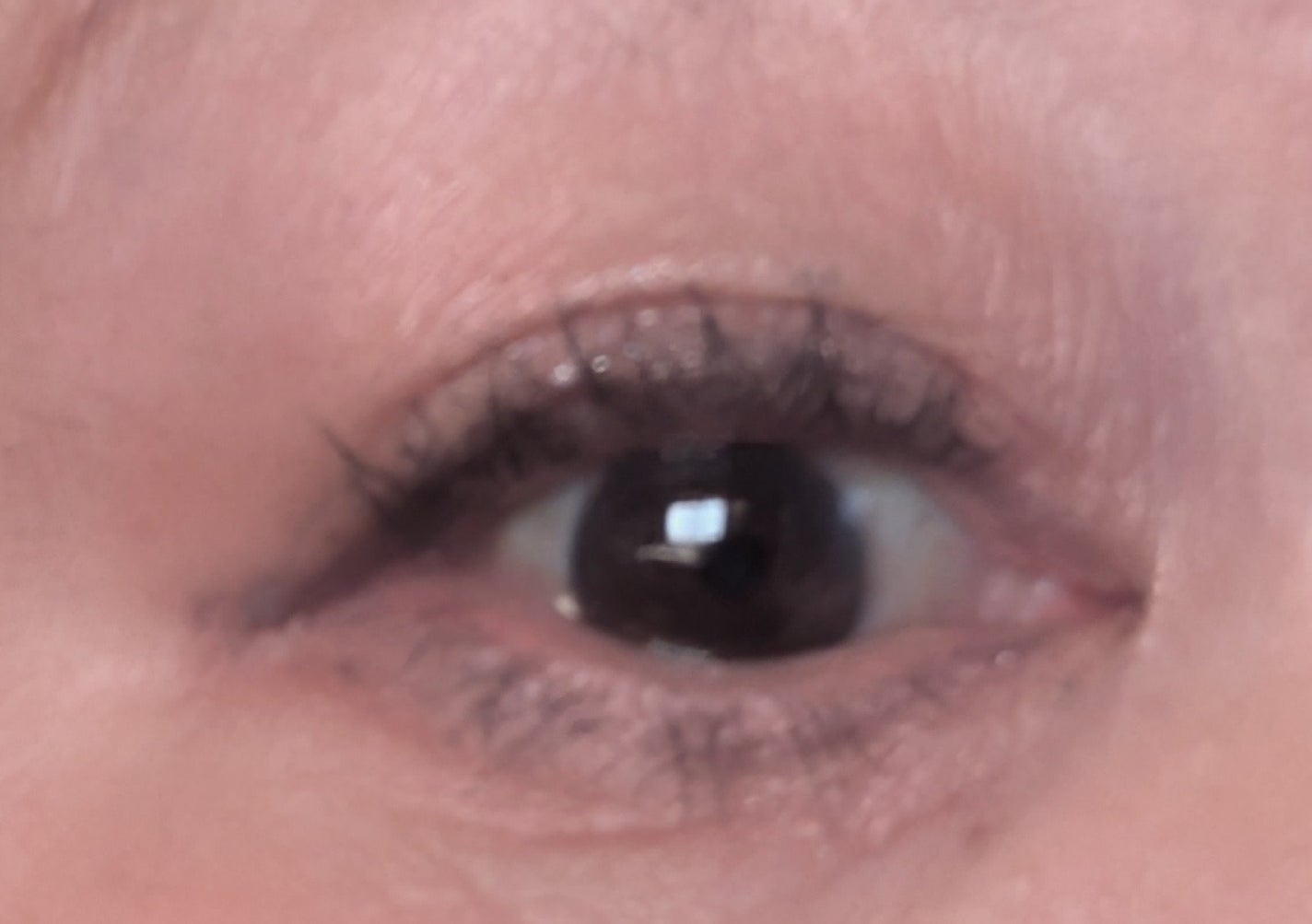 ラスティングリキッドライナー/キャンメイク/リキッドアイライナーを使ったクチコミ(2枚目)