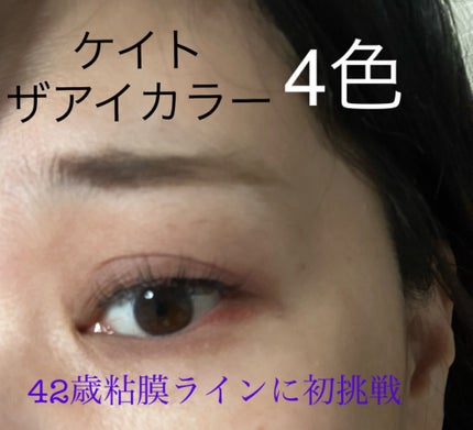 ケイト ザ アイカラー/KATE/単色アイシャドウを使ったクチコミ(1枚目)