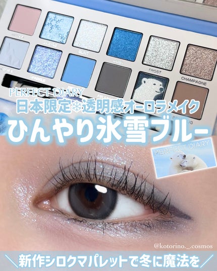 エクスプローラ12色 動物アイシャドウパレット/PERFECT DIARY/アイシャドウパレットを使ったクチコミ(1枚目)