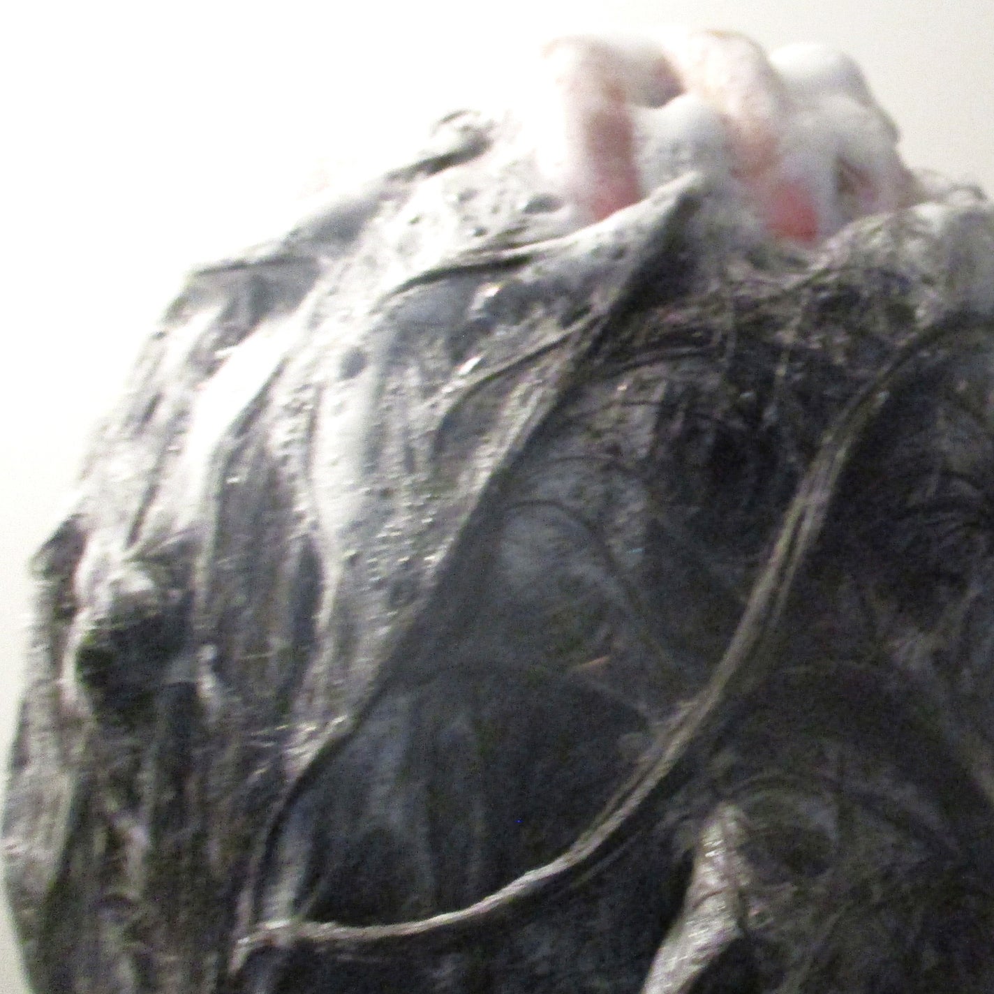 アンドペア コントロール モイスト 2in1 シャンプー&ヘアトリートメント/&PAIR/市販シャンプーを使ったクチコミ(4枚目)