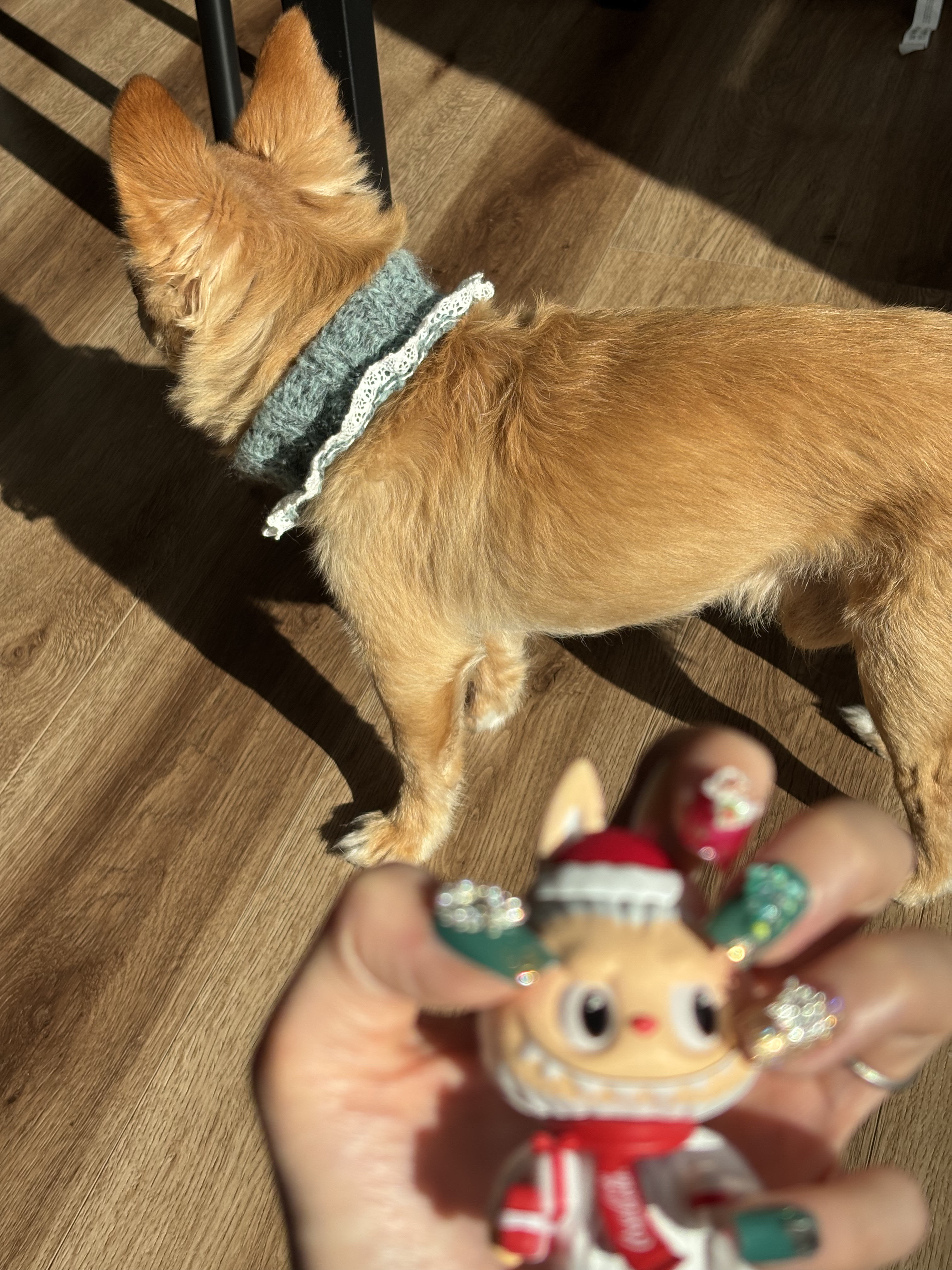 gene TOKYO ネイル/DAISO/マニキュアを使ったクチコミ（3枚目）