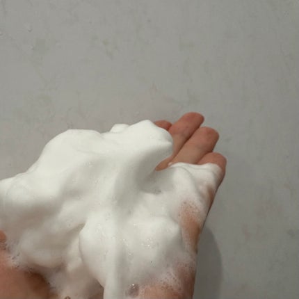スペシャルパウダーソープVC/Cure/洗顔パウダーを使ったクチコミ(2枚目)