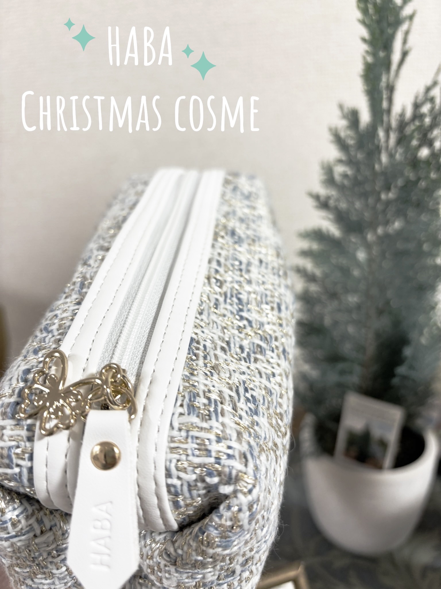 パピヨンプリズムコレクション/HABA/メイクアップキットを使ったクチコミ（1枚目）