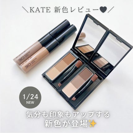ケイト デザイニングアイブロウ3D/KATE/パウダーアイブロウを使ったクチコミ(1枚目)
