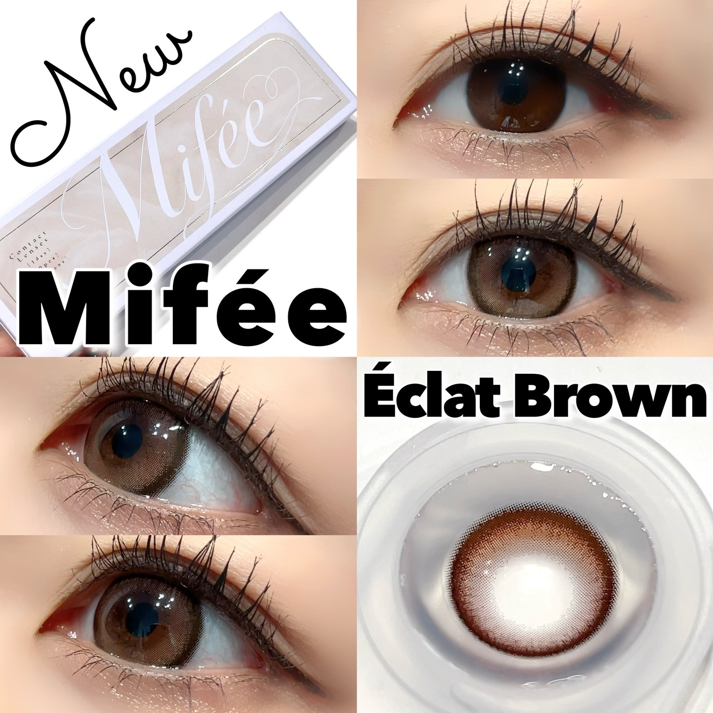 Mifée 1day エクラブラウン/Mifée/ワンデー（１DAY）カラコンを使ったクチコミ（1枚目）