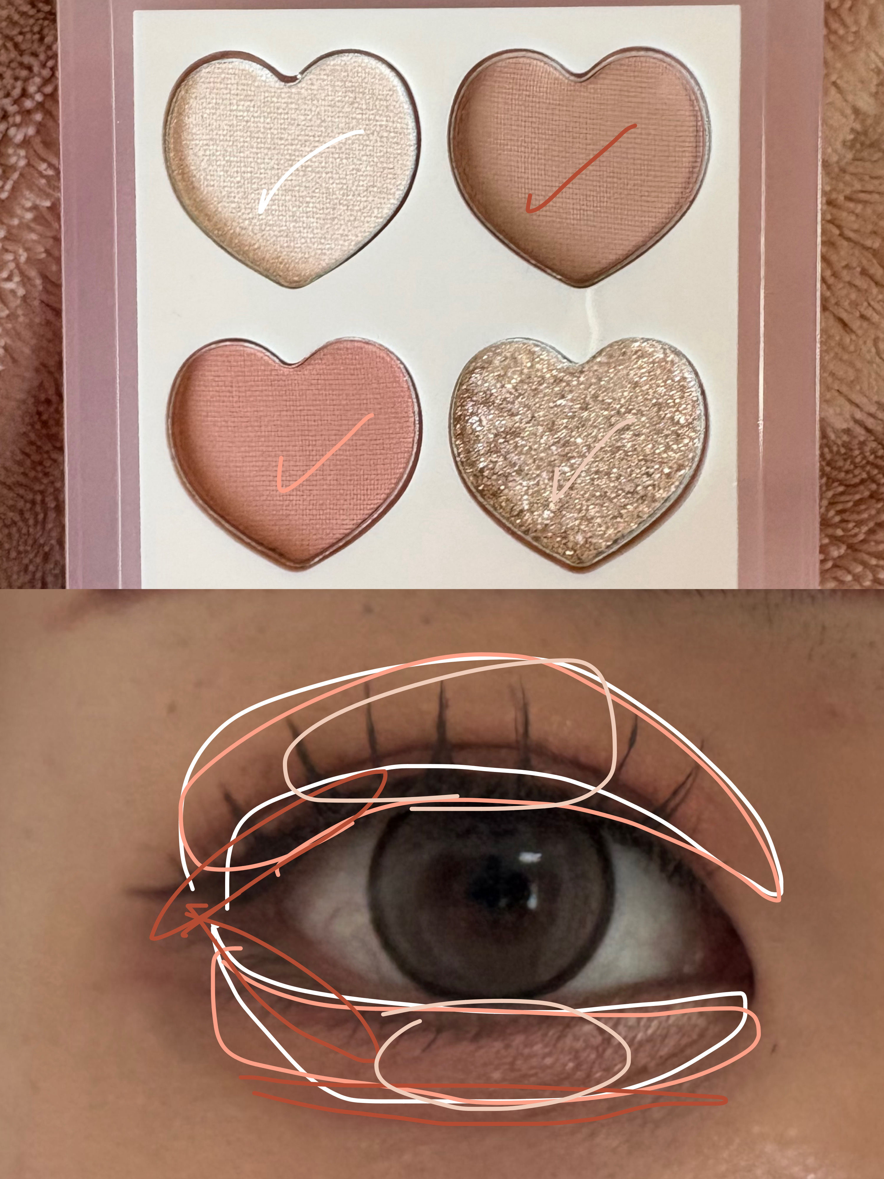 まるごとぷくパレットアイズ/minum/アイシャドウパレットを使ったクチコミ（2枚目）