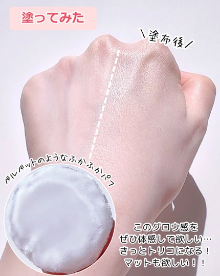 SHISEIDO エッセンス スキンセッティング パウダー/SHISEIDO/ルースパウダーを使ったクチコミ(3枚目)