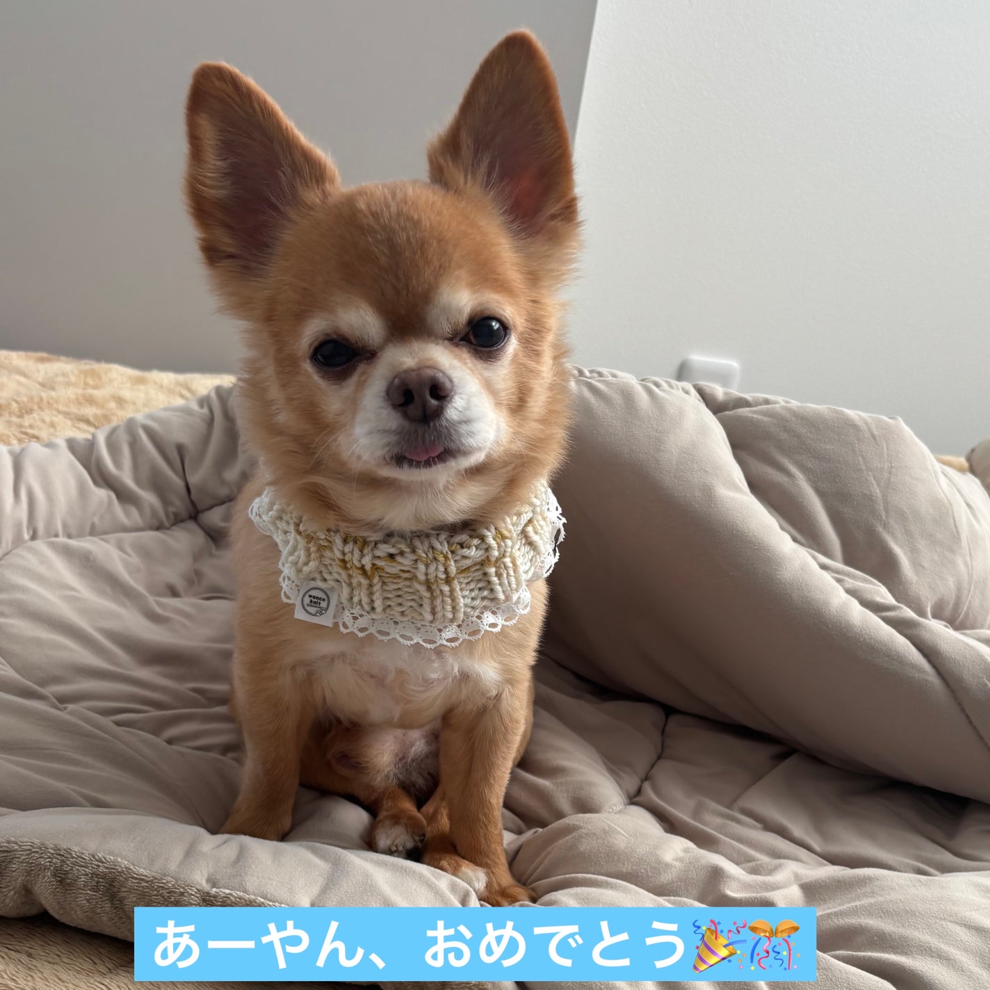 カラフルネイルズ/キャンメイク/マニキュアを使ったクチコミ(6枚目)