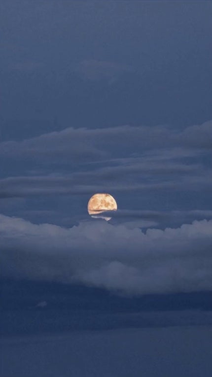 HIYO ãã©ããð¯ on LIPS ãå£çŽã«ã©ããïŒäœæç®ãã¿ããªã¯å¥œãïŒ#å£çŽ..ãïŒ4æç®ïŒ