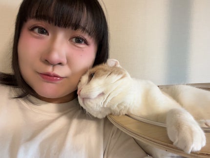 超細芯アイブロウ/CEZANNE/アイブロウペンシルを使ったクチコミ(4枚目)