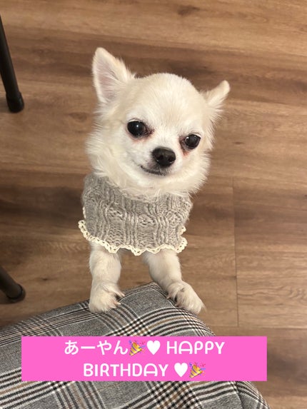 カラフルネイルズ/キャンメイク/マニキュアを使ったクチコミ(7枚目)