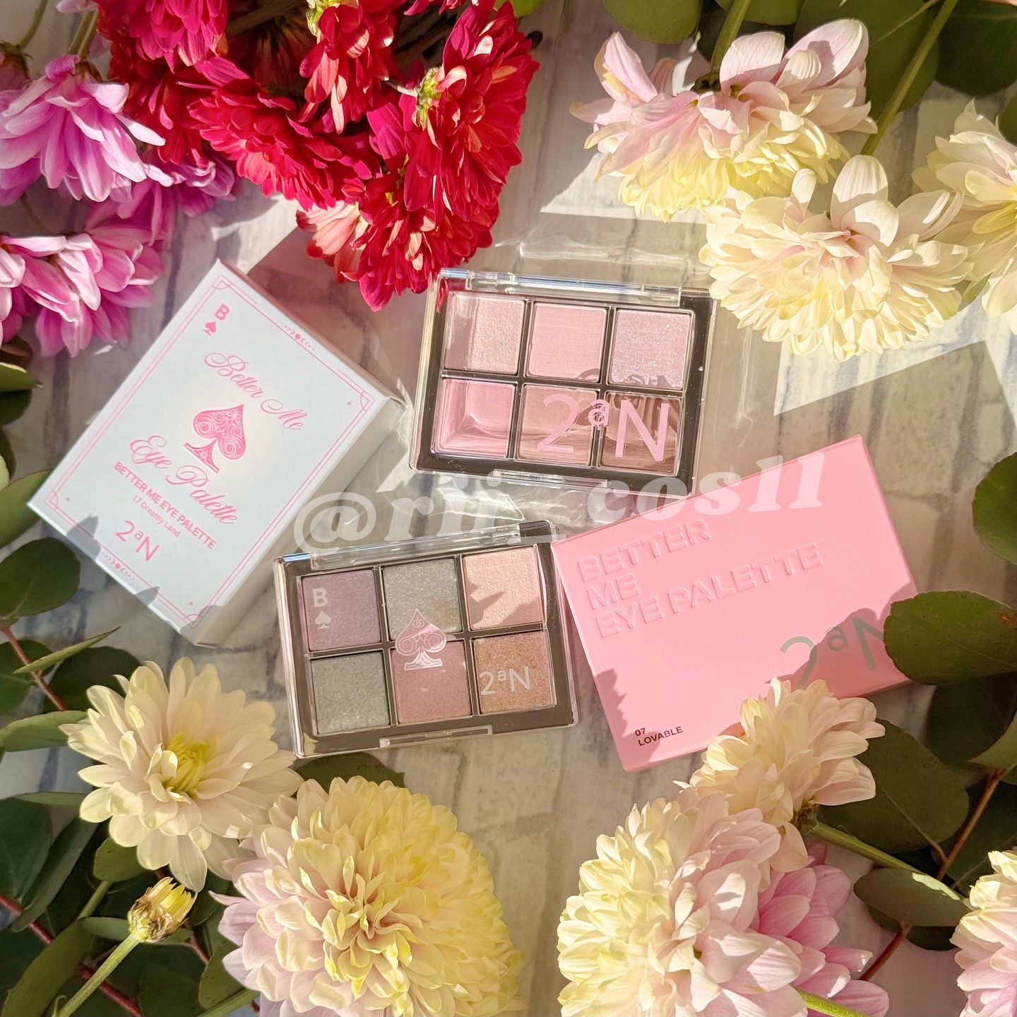 ベターミーアイパレット/2aN/マルチパレットを使ったクチコミ（1枚目）