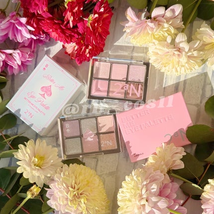 ベターミーアイパレット/2aN/マルチパレットを使ったクチコミ(1枚目)