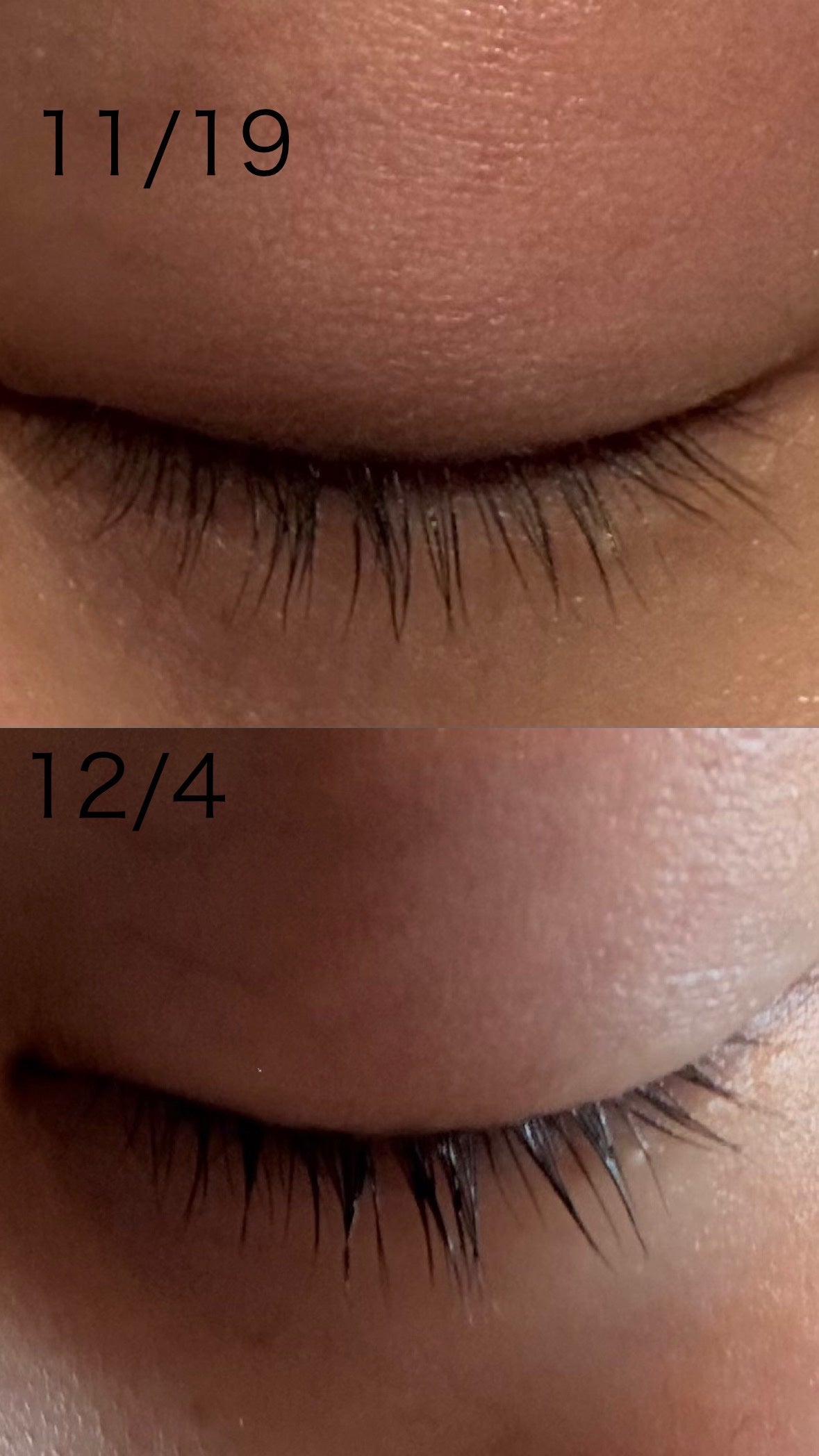 ククイラッシュ まつ毛美容液/KUKUILASH/まつげ美容液を使ったクチコミ(1枚目)