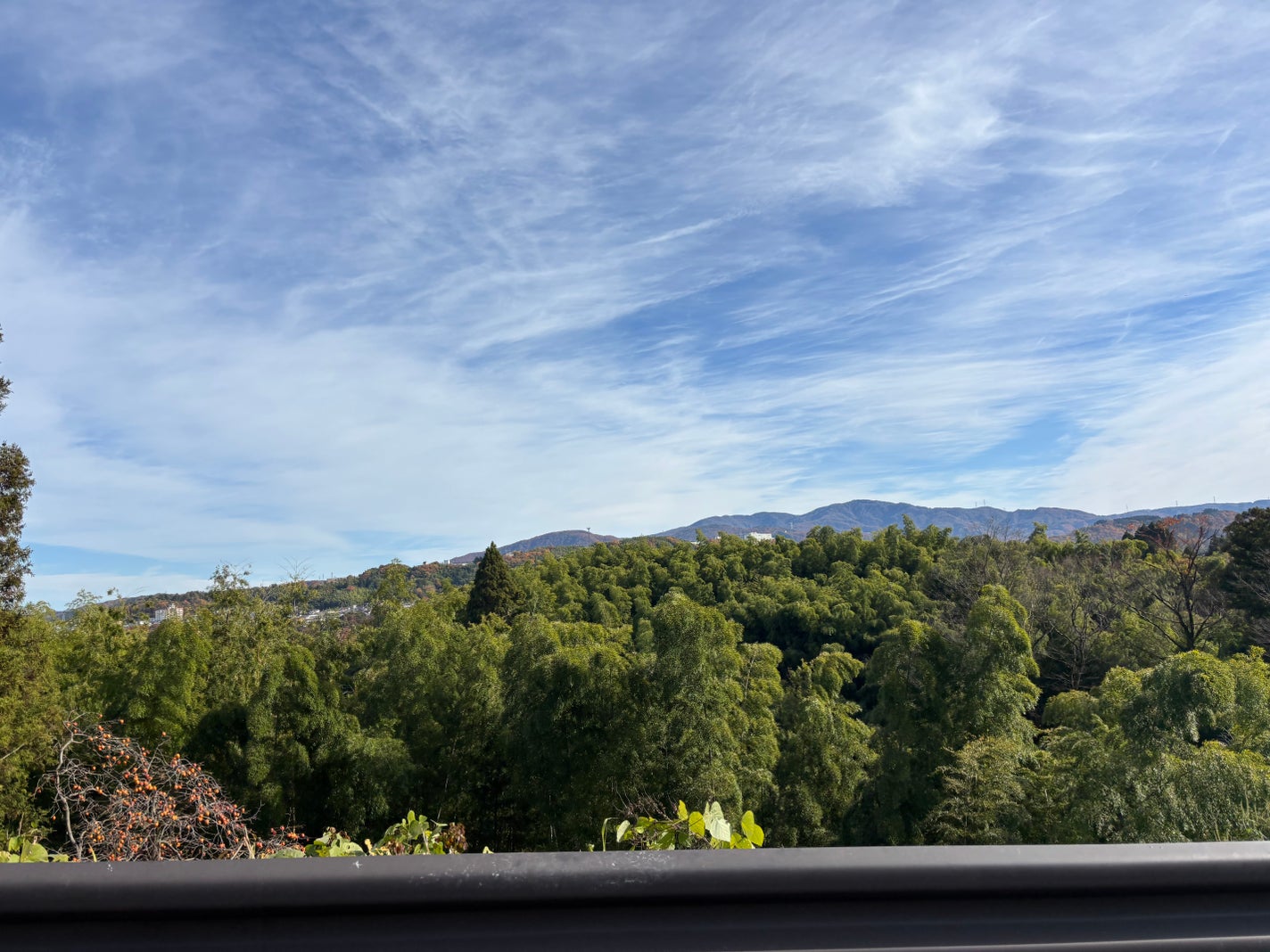 HIYO ãã©ããð¯ on LIPS ãå£çŽã«ã©ããïŒäœæç®ãã¿ããªã¯å¥œãïŒ#å£çŽ..ãïŒ7æç®ïŒ