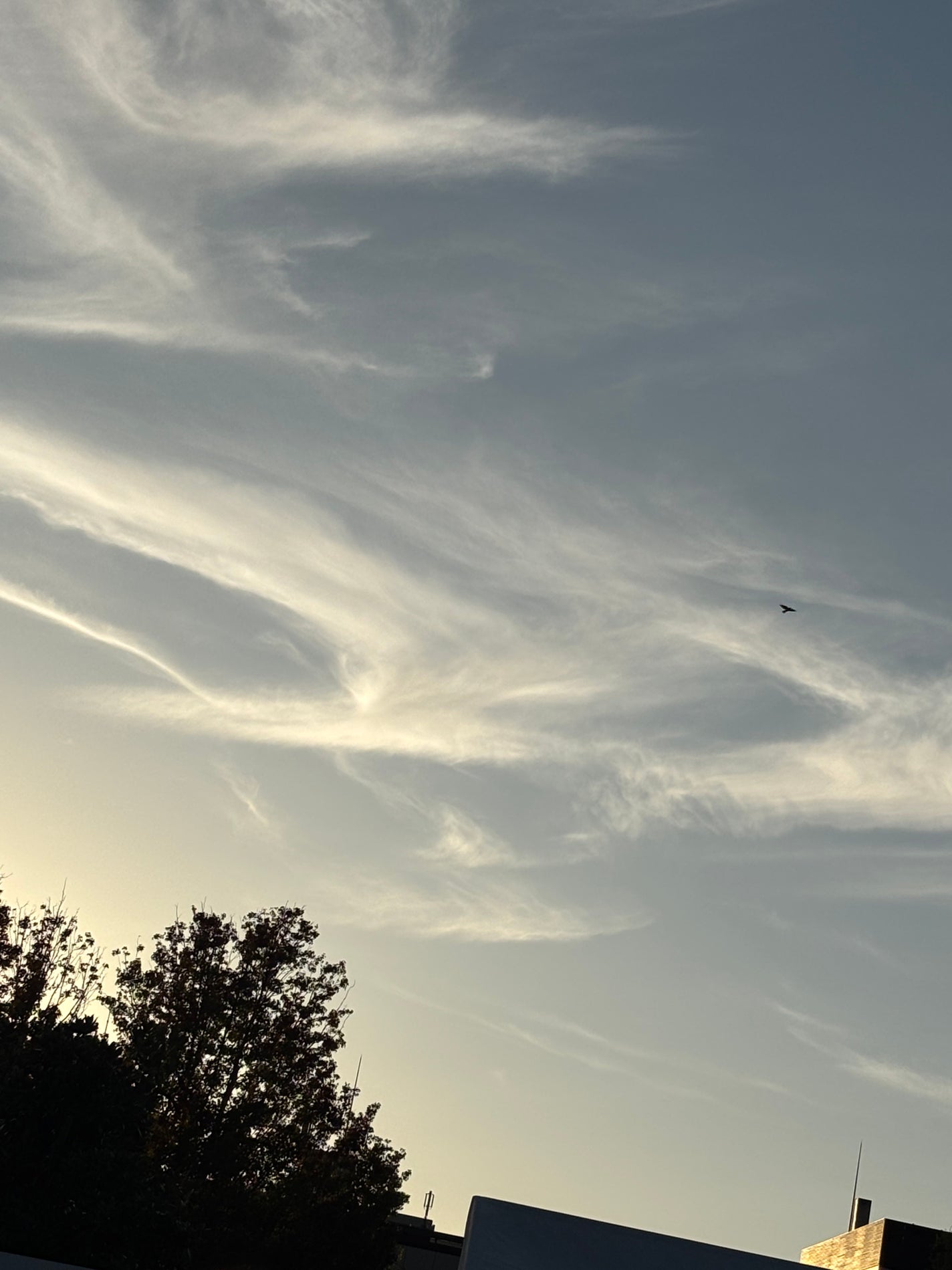 HIYO ãã©ããð¯ on LIPS ãå£çŽã«ã©ããïŒäœæç®ãã¿ããªã¯å¥œãïŒ#å£çŽ..ãïŒ9æç®ïŒ