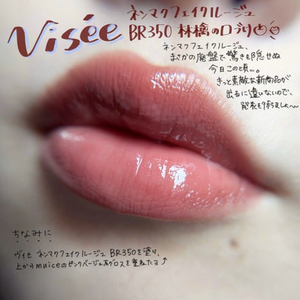 ネンマクフェイク ルージュ/Visée/口紅を使ったクチコミ(1枚目)