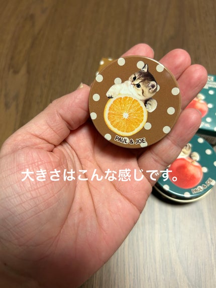 ポール & ジョー リップ コンディショニング バーム リミテッド/PAUL & JOE BEAUTE/リップバームを使ったクチコミ(2枚目)