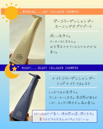 ナイトコラーゲンシャンプーミッドナイトフォレスト/treecell/市販シャンプーを使ったクチコミ(3枚目)