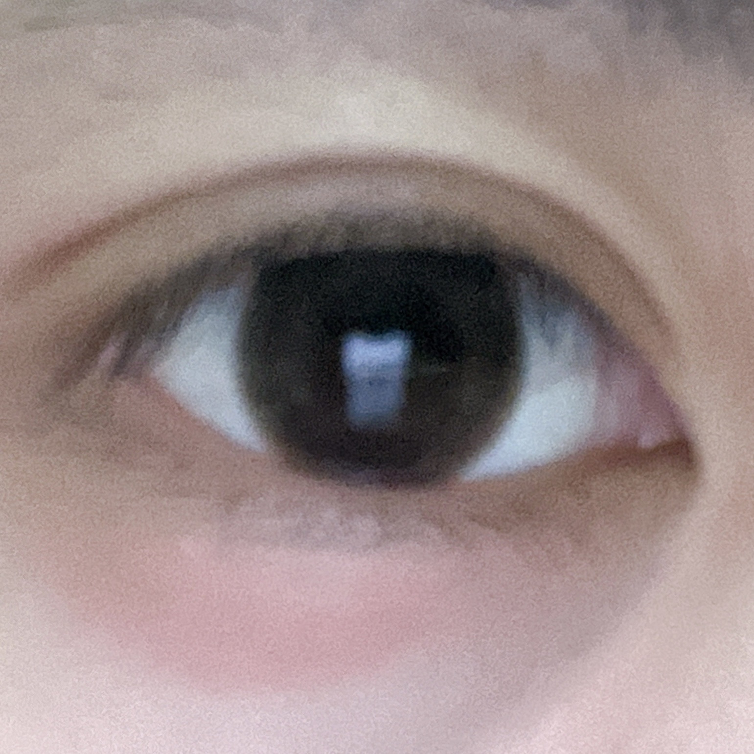 peanutsのクチコミ「🍩en Giornoエクレアブラウン🍩

使いきり！
Qoo10のen Giorno公式ショッ.....」（3枚目）