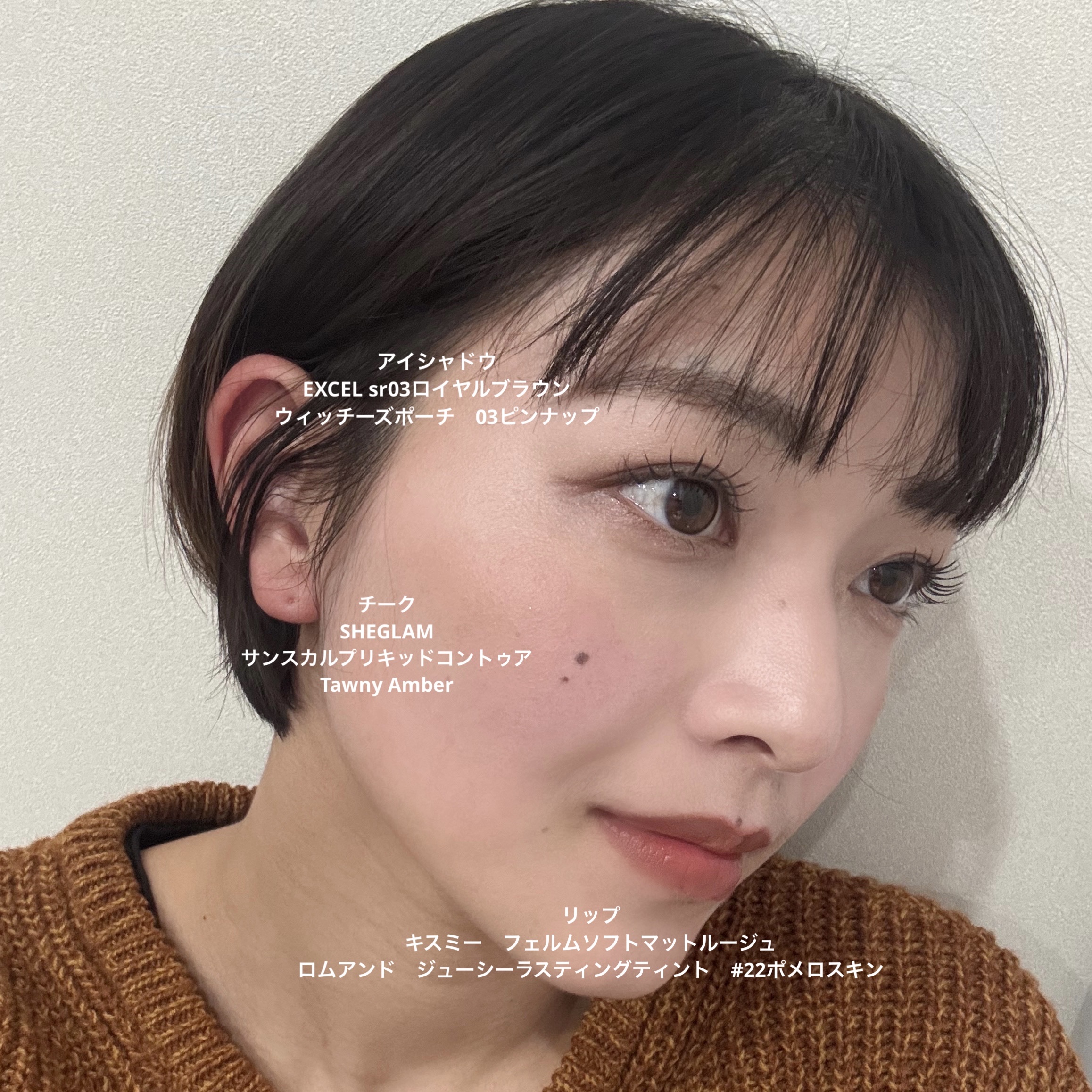 ソフトマットルージュ/キスミー フェルム/口紅を使ったクチコミ（1枚目）